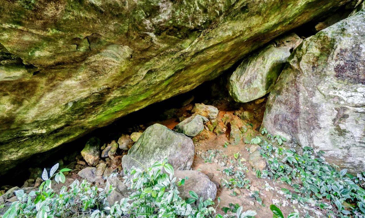Treebo Tryst Jathika Resorts Kóžikkót Exteriér fotografie