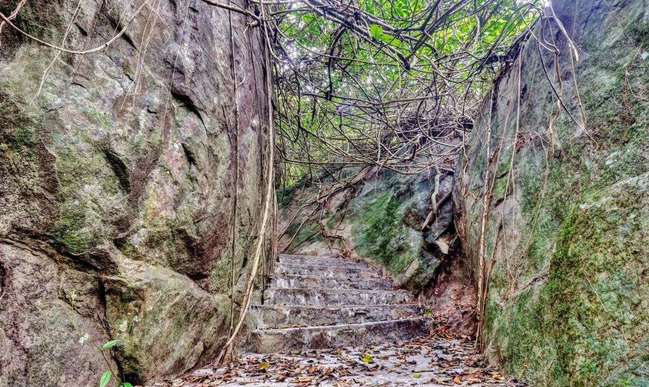Treebo Tryst Jathika Resorts Kóžikkót Exteriér fotografie